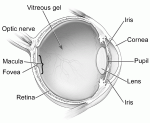 eyediagram